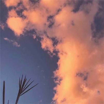 战舰警戒bt版apk下载